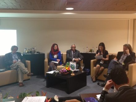 Panel discussion at the 128th Assembly of the IPU 2013